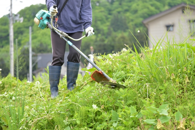 鳥取市で草刈りに最適な年3回の時期～楽に草刈りを終えるコツまで徹底解説